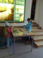 /album/fotogalerie-dum-prirody-trebonska/najdi-spravne-hnizdo-jpg/